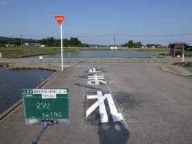 横断歩道等標示塗替１工区工事 (4)